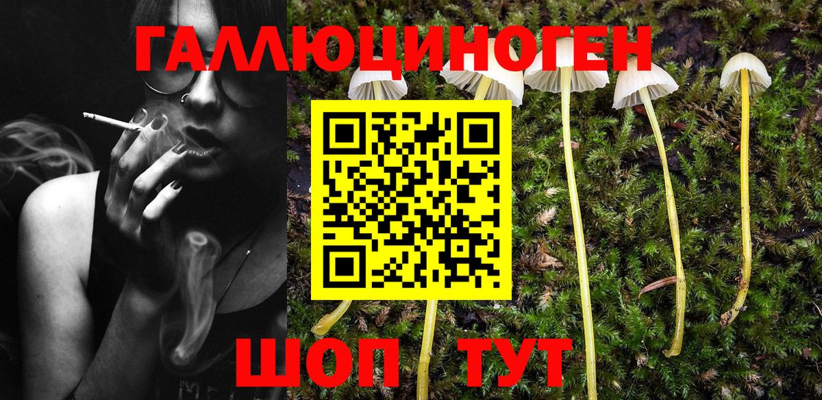 Псилоцибиновые грибы мицелий Тара